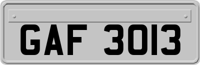 GAF3013