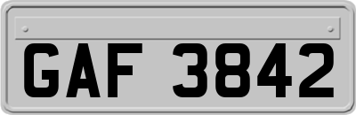 GAF3842