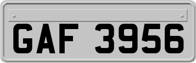 GAF3956