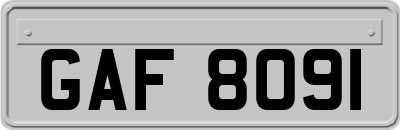 GAF8091