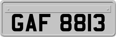GAF8813