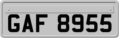 GAF8955