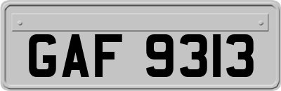 GAF9313