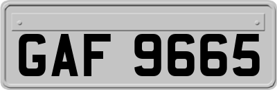 GAF9665