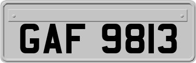GAF9813