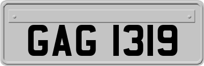 GAG1319