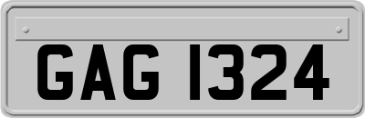 GAG1324