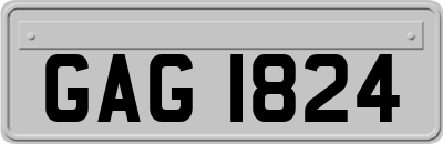 GAG1824