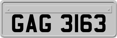 GAG3163