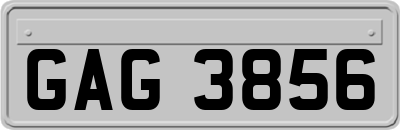 GAG3856