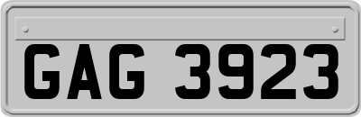 GAG3923