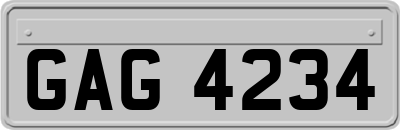 GAG4234