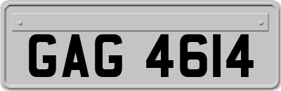 GAG4614
