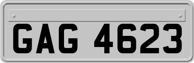 GAG4623