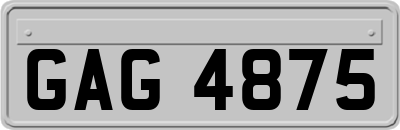 GAG4875