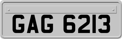 GAG6213