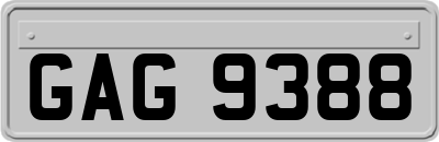 GAG9388