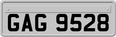 GAG9528