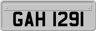 GAH1291
