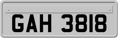 GAH3818