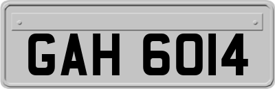 GAH6014