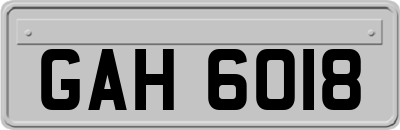 GAH6018