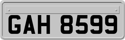 GAH8599