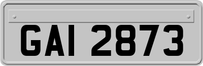 GAI2873