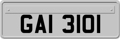 GAI3101