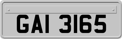 GAI3165