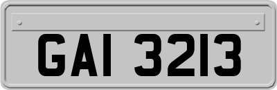 GAI3213