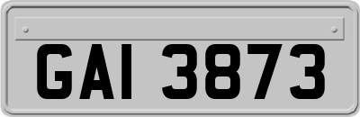 GAI3873