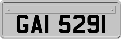 GAI5291