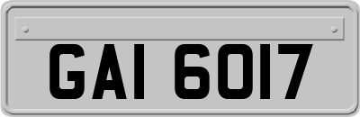 GAI6017
