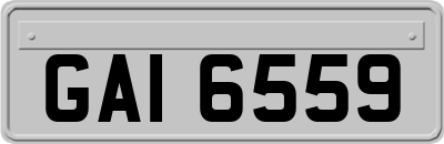 GAI6559