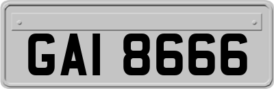 GAI8666