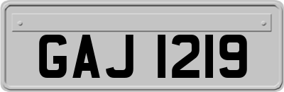GAJ1219