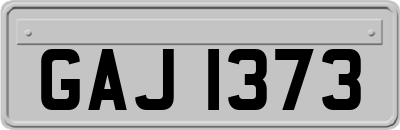GAJ1373