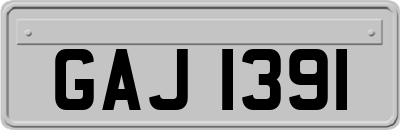 GAJ1391