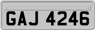 GAJ4246