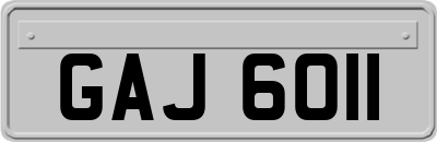 GAJ6011