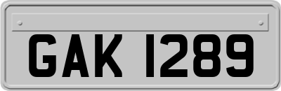 GAK1289