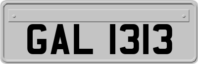 GAL1313