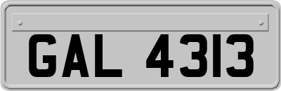 GAL4313