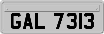 GAL7313
