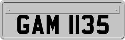 GAM1135