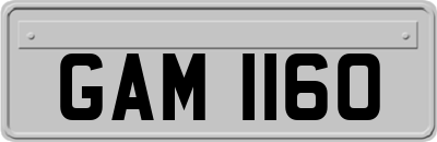 GAM1160