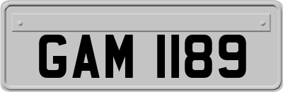 GAM1189
