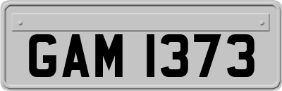 GAM1373