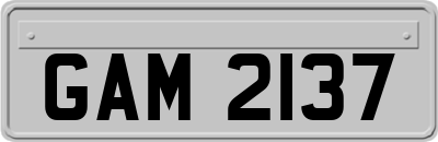 GAM2137